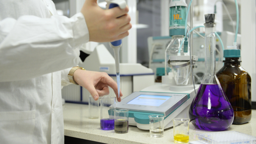    Фото: © РИА Новости/Павел Лисицын; 5-tv.ru