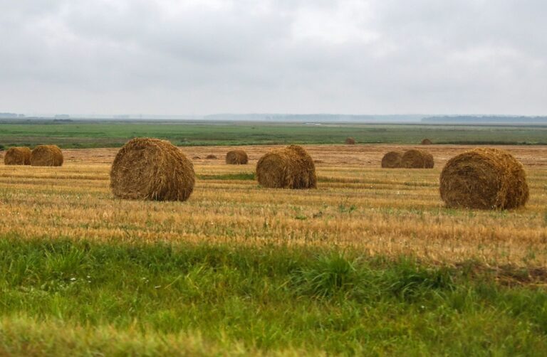    Фото: Валерий Шарифулин / ТАСС Анна Мигинеишвили