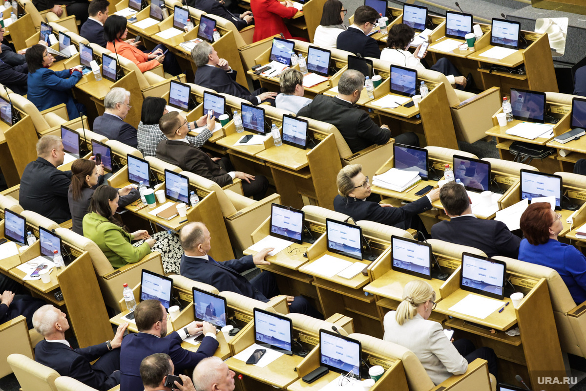 Поправки были приняты во II чтении. Фото: Роман Наумов © URA.RU