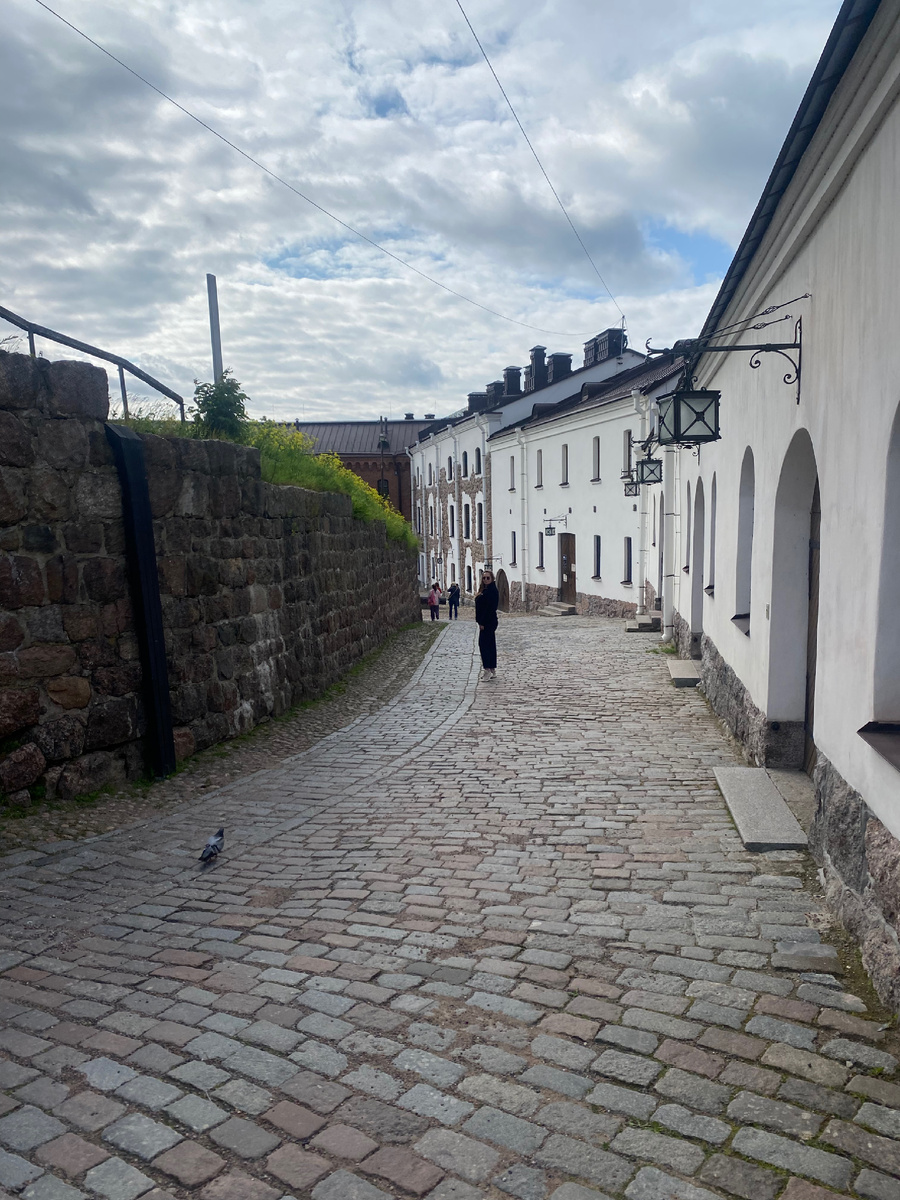 Выборгский  замок 