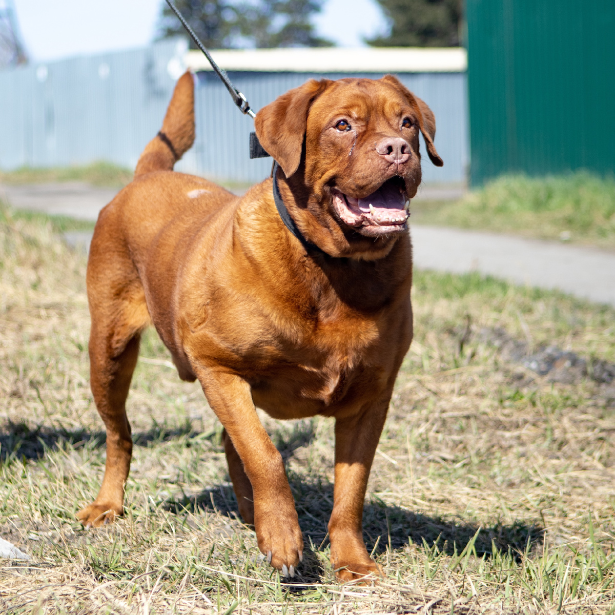 Мы всегда рядом чего бы это ни стоило...