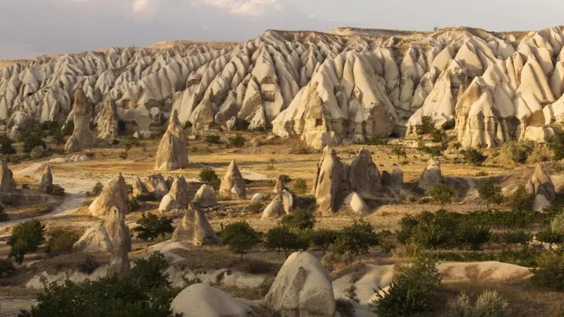https://www.bbc.com/turkce/articles/ce9jnqq47y7o