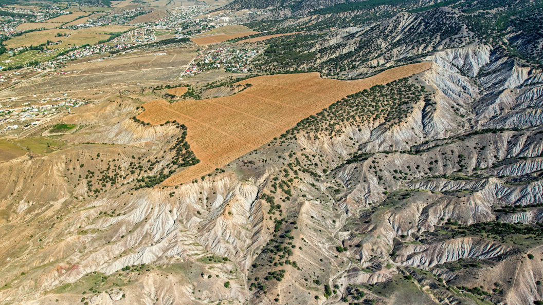    Serguei Fomine/Globallookpress