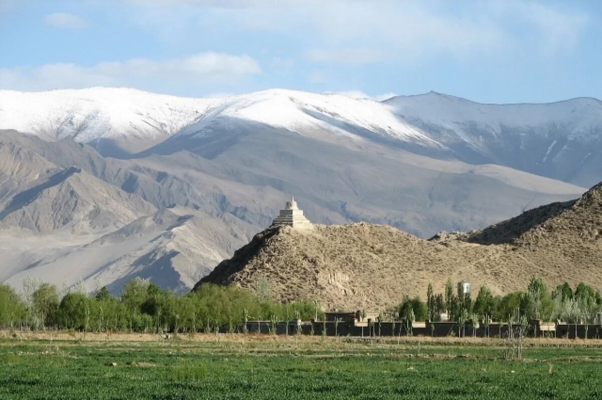    Новосибирская студентка создала приложение для распознавания текстов Тибета