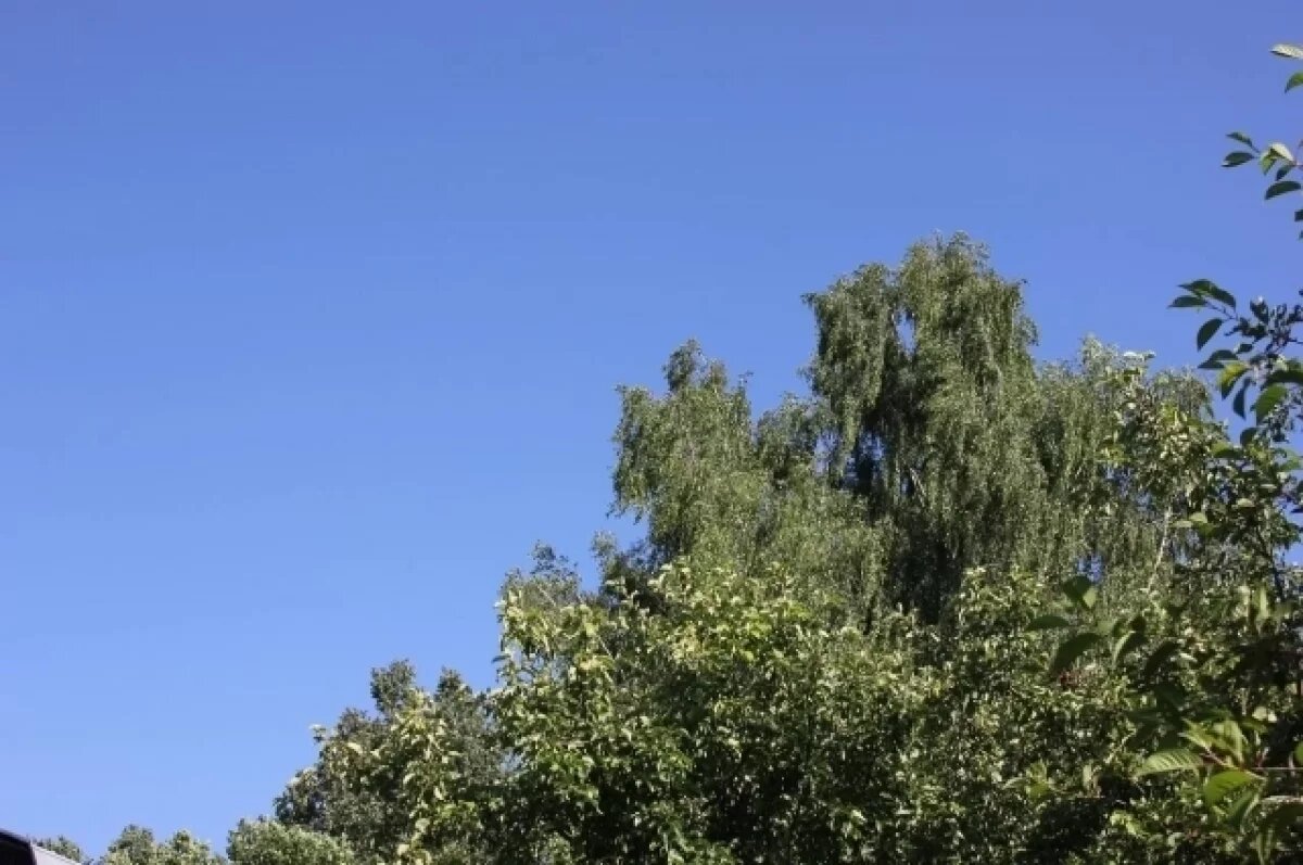    18 июля в Туле прогнозируют малооблачную погоду и до +25