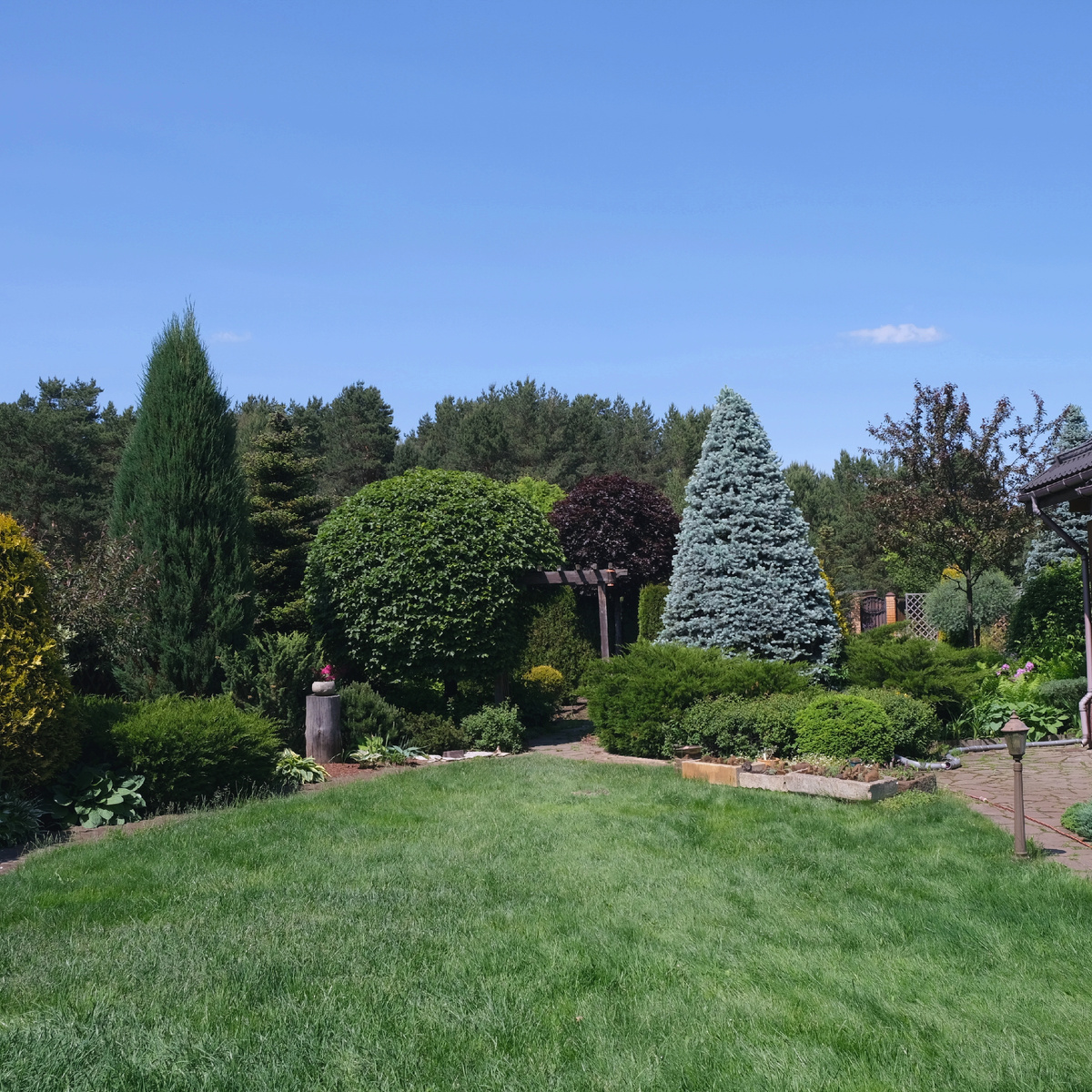 Общий вид сада