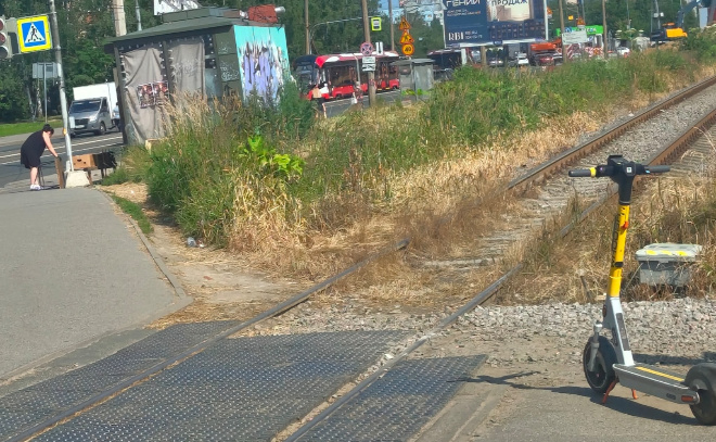    © Заневское городское поселение