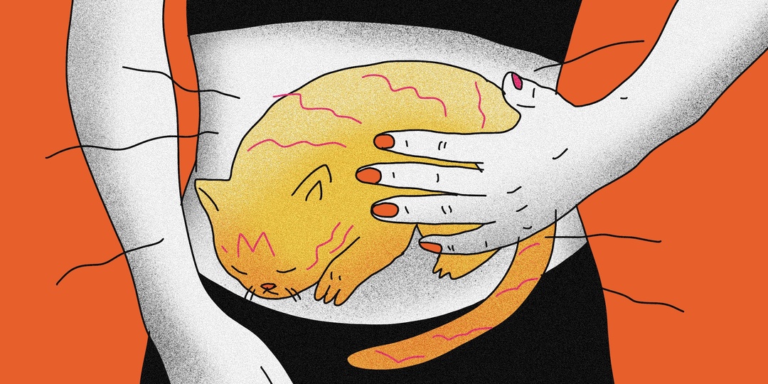 Почему желудок урчит даже без голода — о чём сигналит ЖКТ