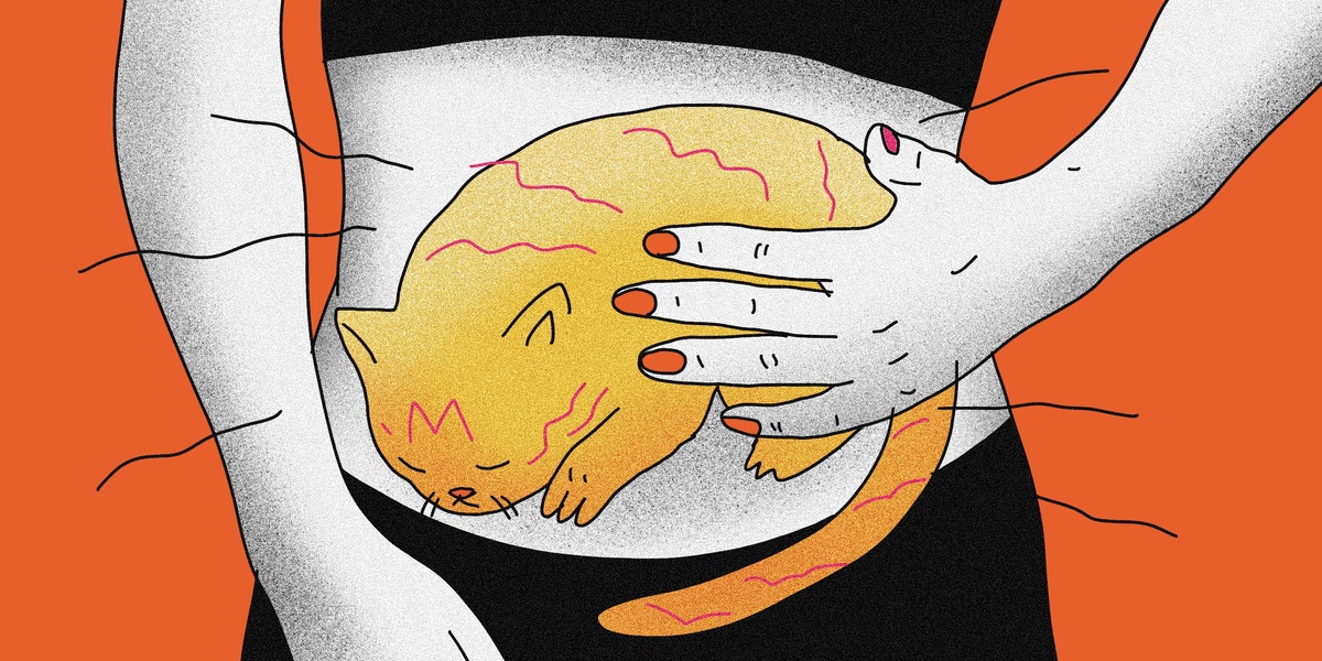 Почему желудок урчит даже без голода — о чём сигналит ЖКТ