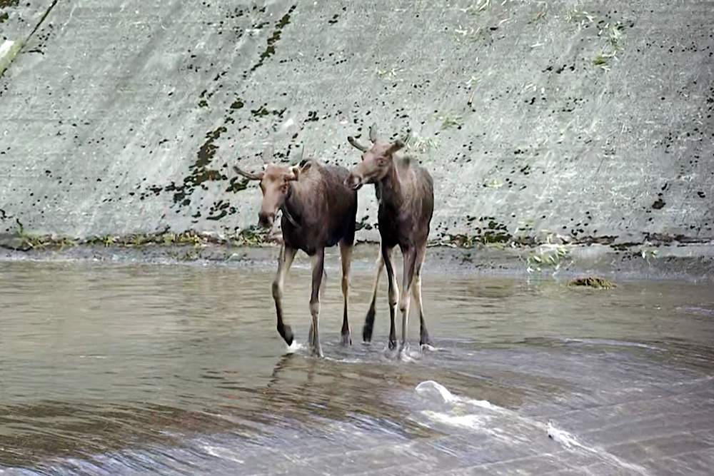    ©АО "ТВ Центр"