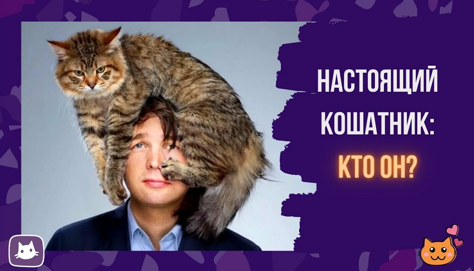 😸Какой вы кошатник? Весёлый тест для любителей мурлык! 😺