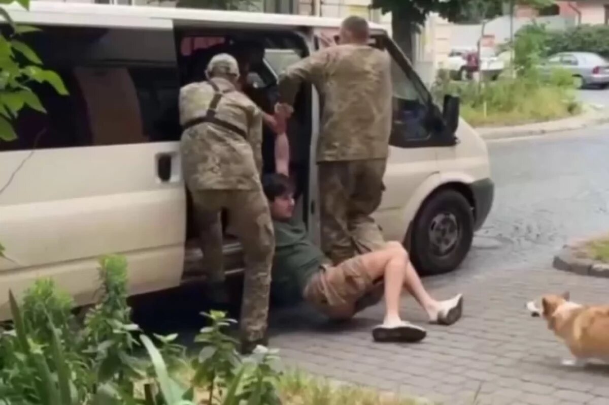    Во Львове корги пытался защитить хозяина от ТЦК при мобилизации