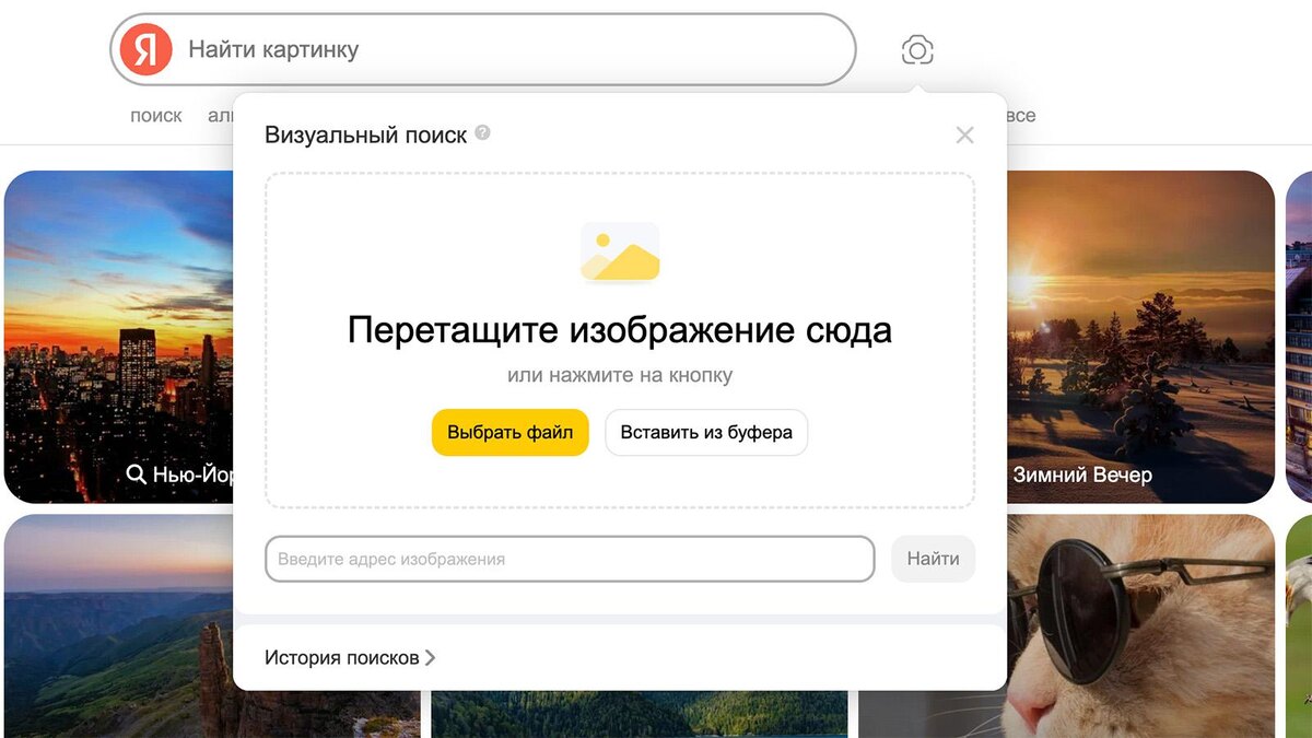 Яндекс📷«Яндекс» показал похожих людей, но саму Олесю в интернете не нашел
