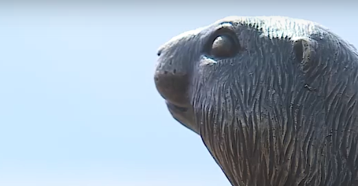     Красноярские бронзовые суслики оказались не единственными в стране