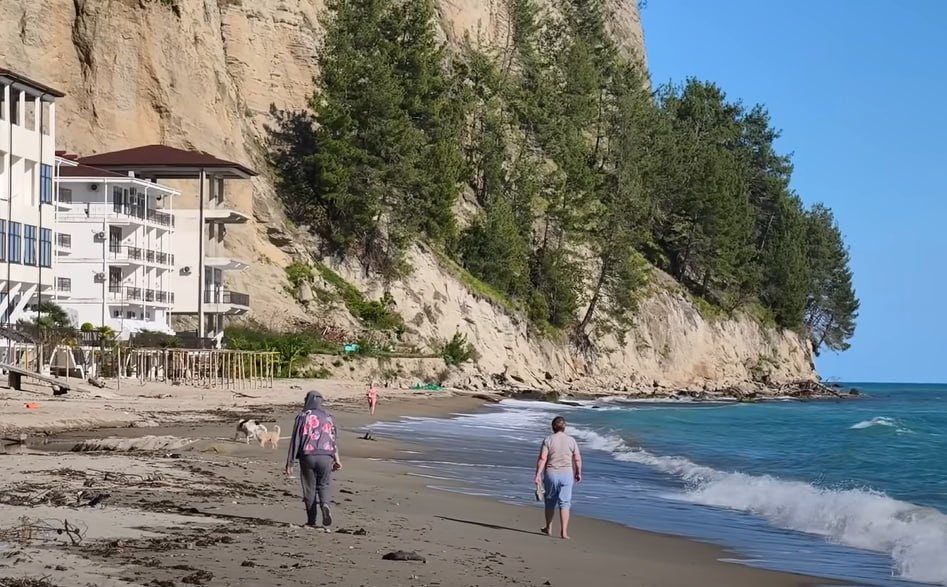 Фото: Prt Scr youtube.com / МАКОВОЗОВЫ