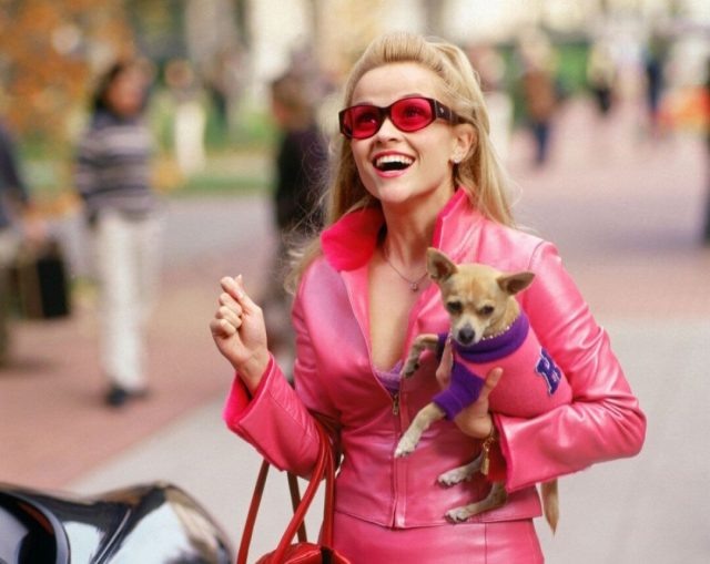    Риз Уизерспун. Фото: кадр из фильма «Блондинка в законе»