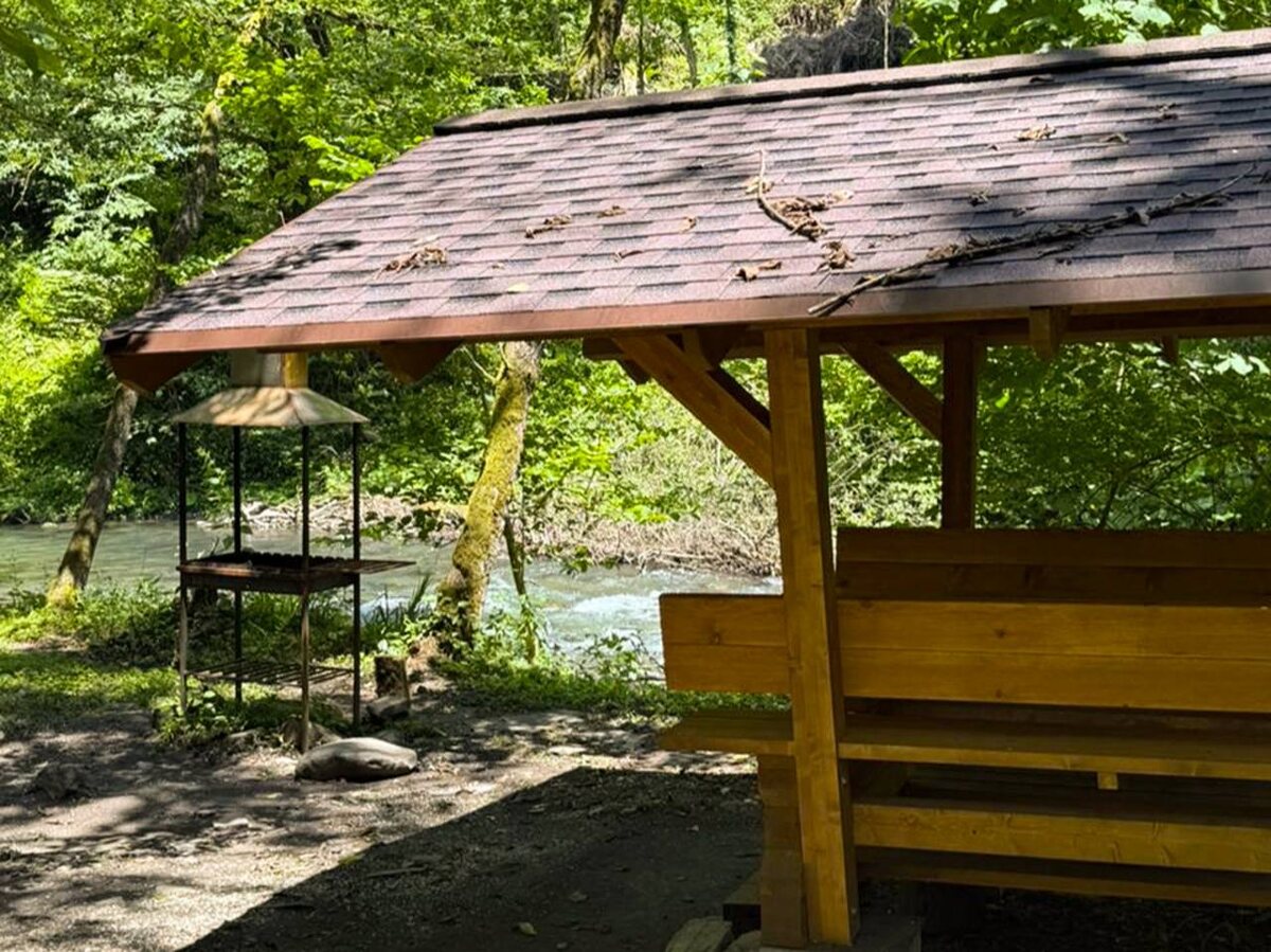 Фото: пресс-служба Сочинского нацпарка  📷
