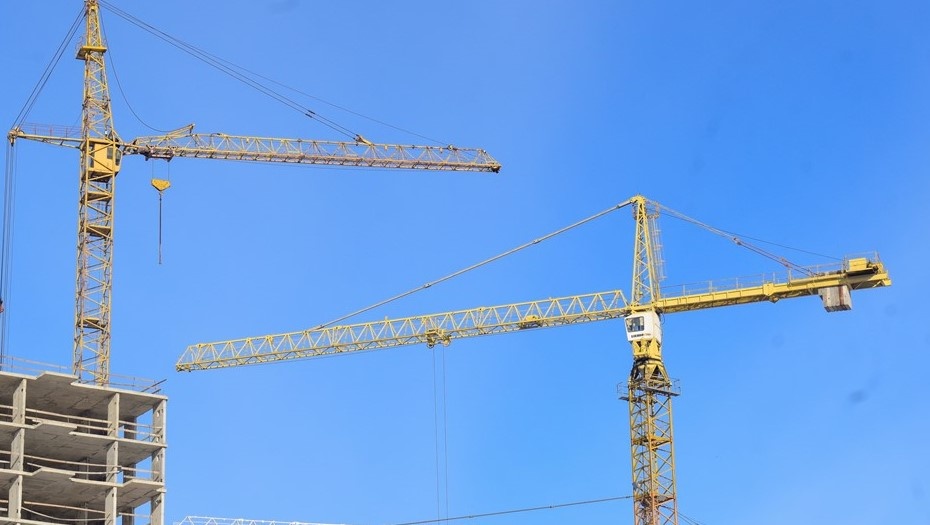    Автор фото: Алена Новокшонова/ТАСС