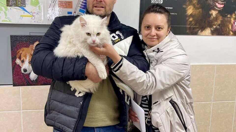 Более 20 хвостиков обрели дом благодаря рубрике #ПушистыйПрогноз