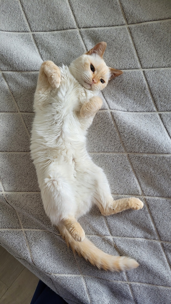 демонстрирует вместилище для еды