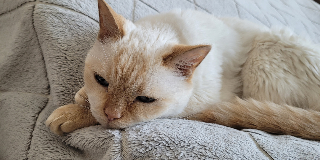 Зёма и еда - идеальный союз