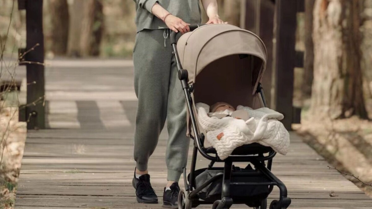     Источник: ru.freepik.com