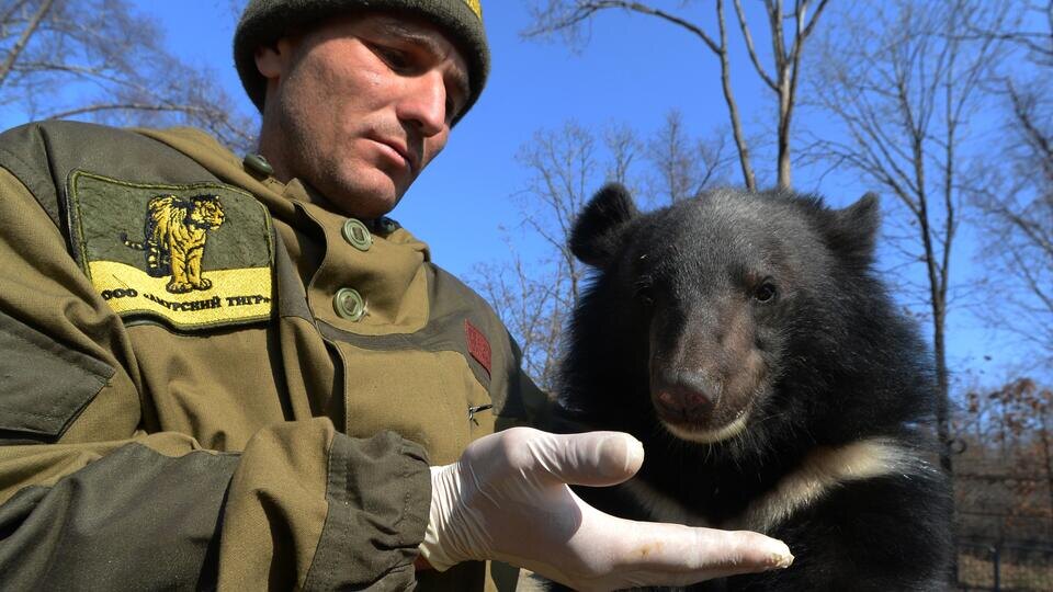Фото: © РИА Новости/Виталий Аньков