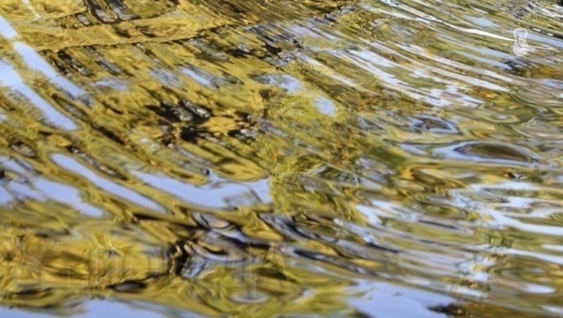    Новые пункты контроля воды в реках появятся на Ставрополье в сентябре Фото: ИА «Победа26»