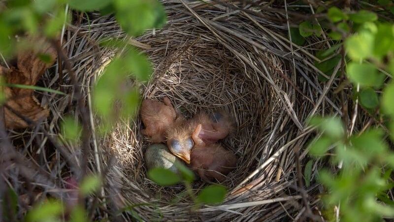   Фото: Федор Воронов / «Ямал-Медиа»