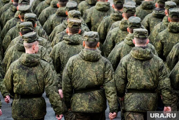 Минцифры предложило давать отсрочку IT-специалистам, которые закончили учиться, но еще не получили диплом. Фото: Вадим Ахметов © URA.RU