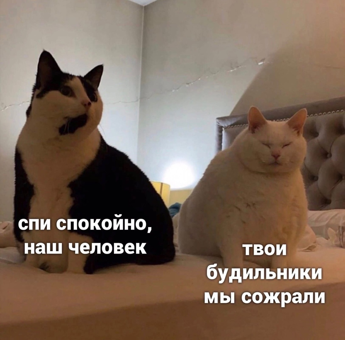 источник: соцсети