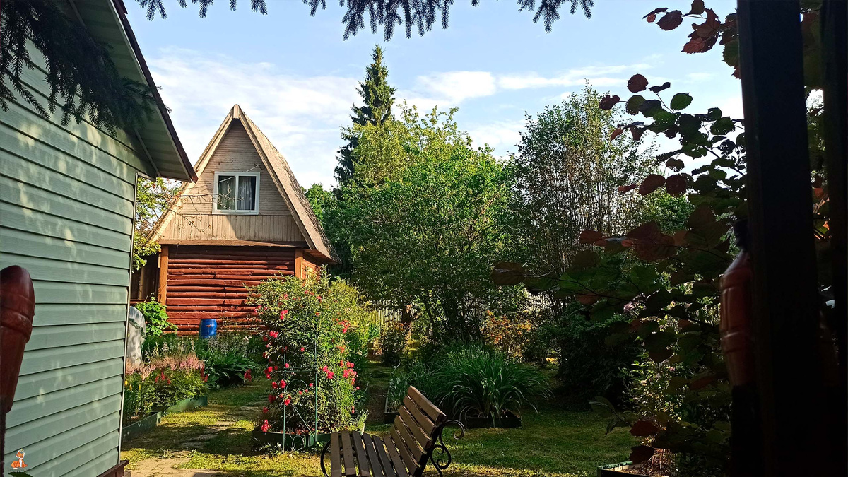 Вид на участок с заднего двора