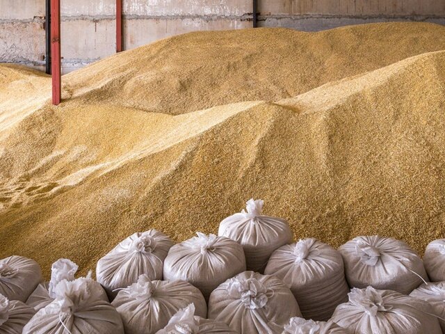    Фото: 123RF/slavkosereda