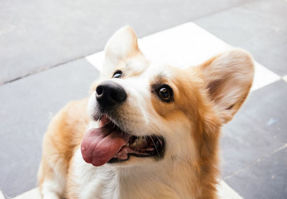     / Источник: ©unsplash/Florencia Potter