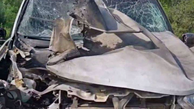    Фото из телеграм-канала губернатора Белгородской области