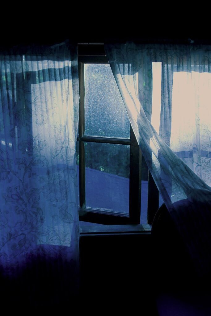 фото из открытого источника