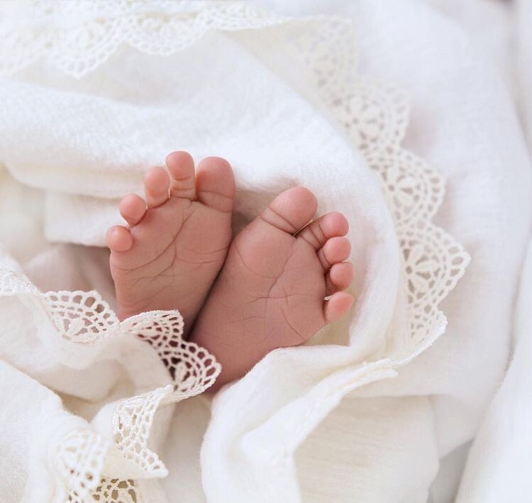 фото из открытого источника