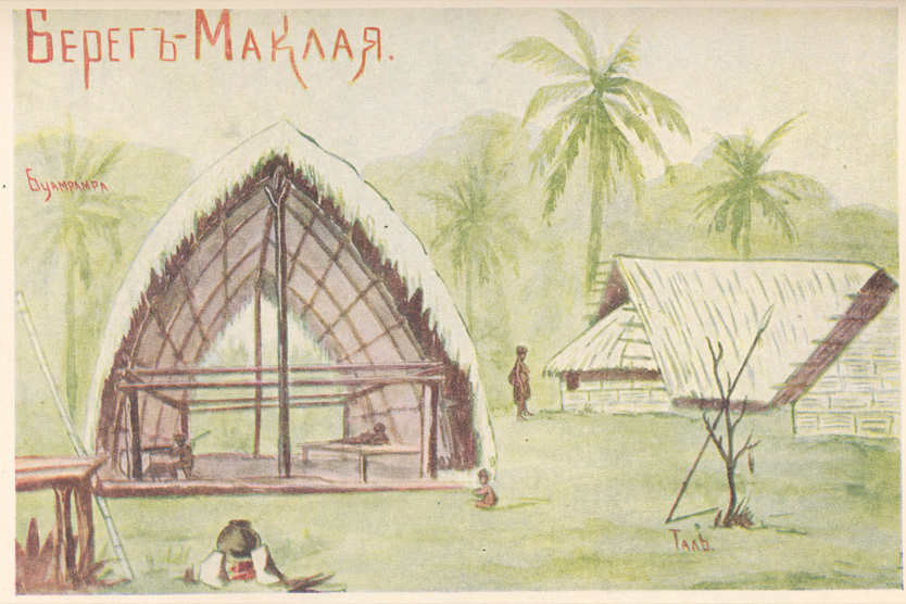    Зарисовка Николая Миклухо-Маклая «Берег Маклая»    
Фото: Государственный Дарвиновский музей