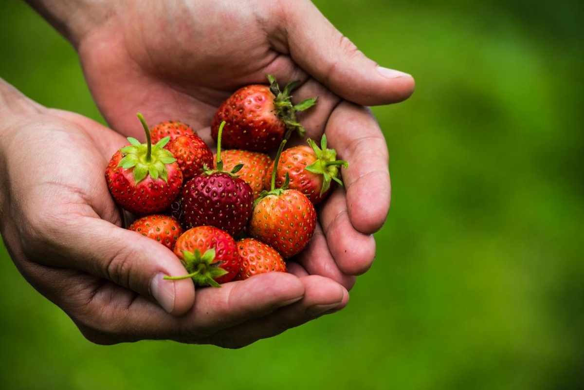 Фотограф: Magic K: https://www.pexels.com/ru-ru/photo/6726244/