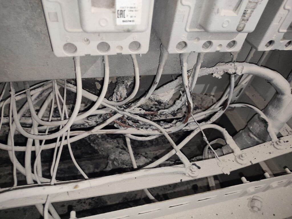    Фото: Краснодарские известия