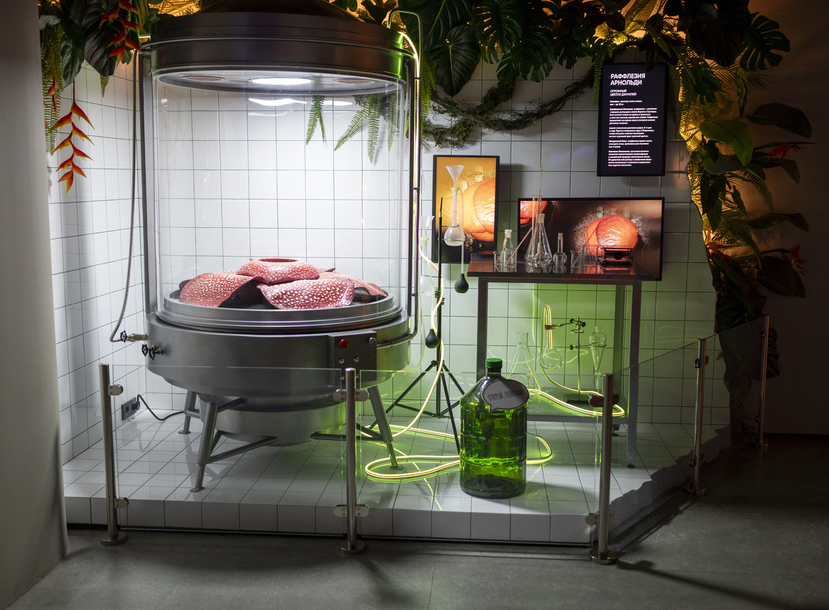 Узнали что тут?