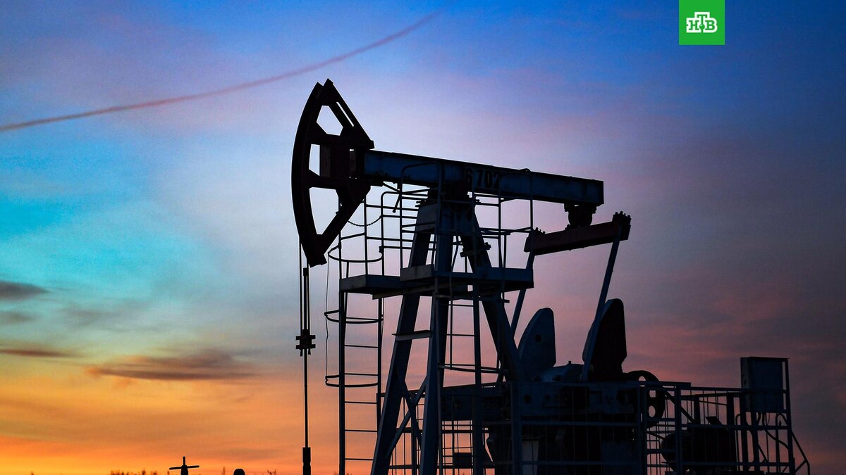    Фото: РИА Новости © 2025, Максим Богодвид