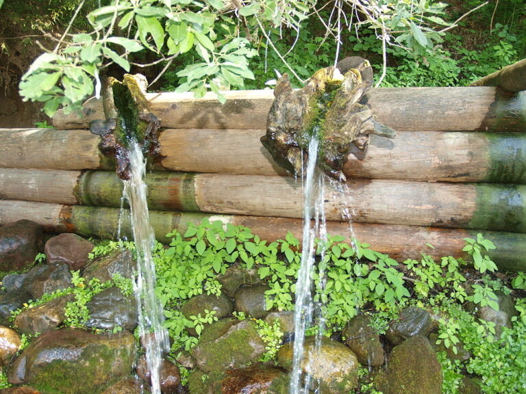    Фото: wikipedia/Vicpeters/CC BY-SA 3.0 Анна Мигинеишвили