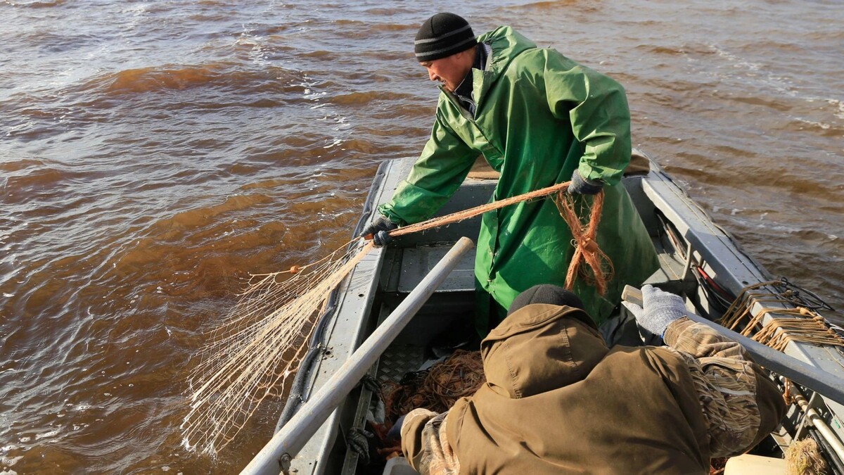    Рыболовство - неотъемлемая часть северной культуры. Фото: Андрей Ткачёв / "Ямал-Медиа"