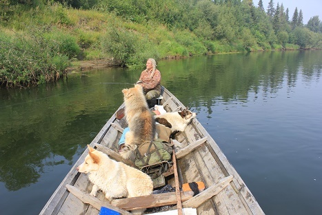 Фотографии Татьяны Немшановой. Западная Сибирь, Приполярный Урал, Зауралье, Тайга Крайнего Севера ХМАО Югра. Река Ляпин. Лето Севера ХМАО Югра, лес северный таёжный. Лайки севера России. 