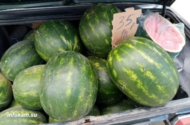    Первые арбузы в Камышине