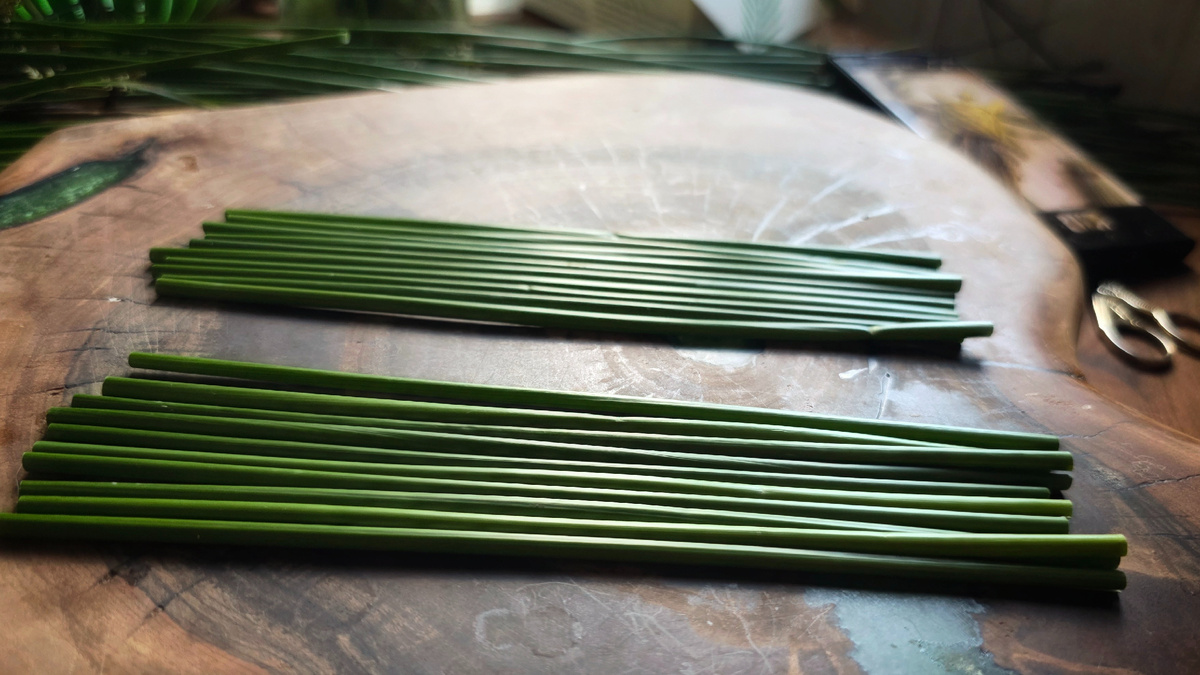 Ситник болотный