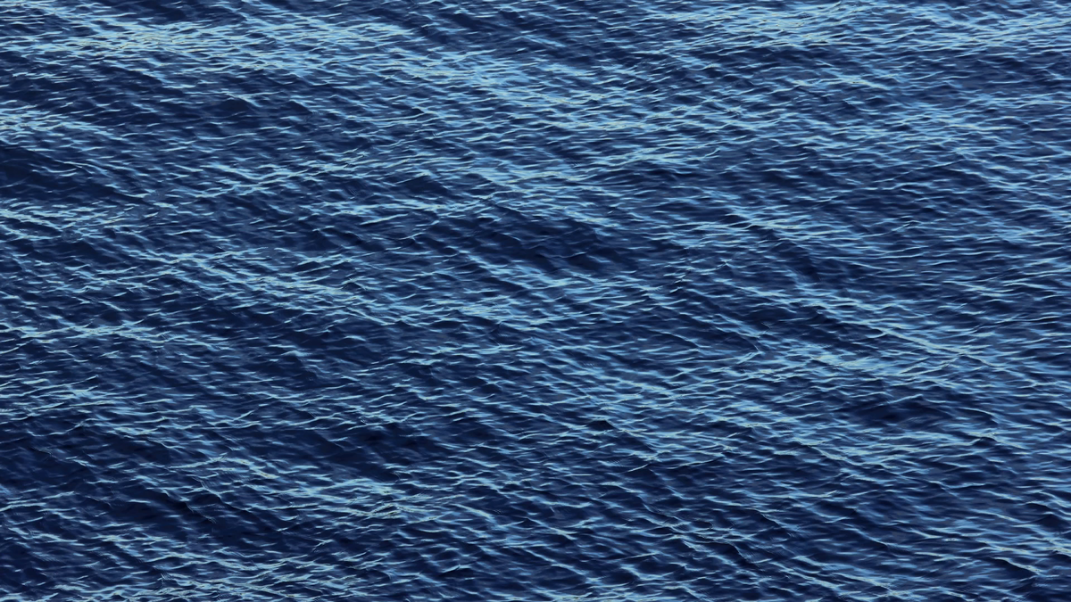 Текстура Невы