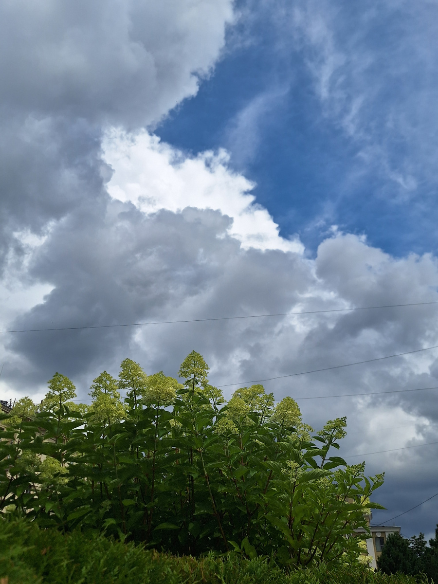 Фото - собственность автора канала "ТАК НАДО".