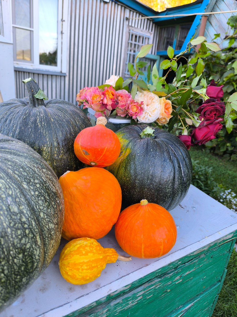 Осенний натюрморт на верстаке.